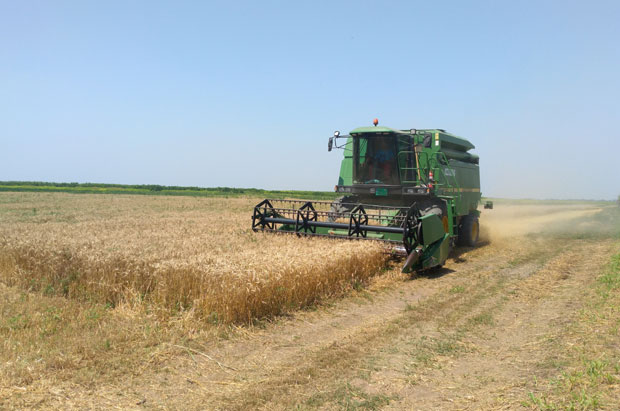 РАТАРИ СА СТРАХОМ ГЛЕДАЈУ У НЕБО: Тропско сунце попило зрно